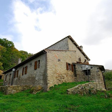 A Stay Surrounded By Greenery - Agriturismo La Piaggia - App 2 Bathrooms Vivo dʼOrcia Exteriér fotografie