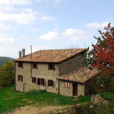 A Stay Surrounded By Greenery - Agriturismo La Piaggia - App 2 Bathrooms Vivo dʼOrcia Exteriér fotografie