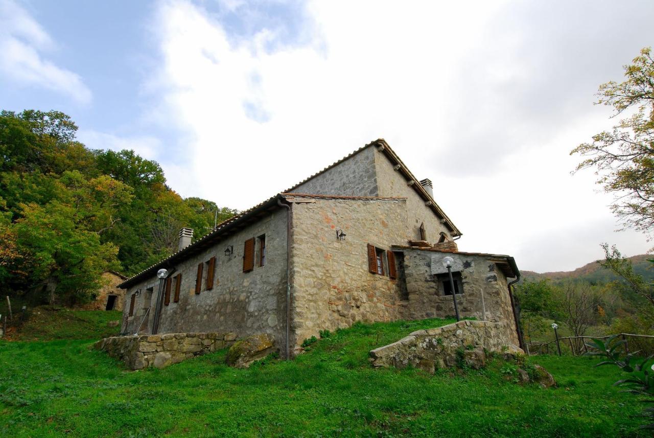 A Stay Surrounded By Greenery - Agriturismo La Piaggia - App 2 Bathrooms Vivo dʼOrcia Exteriér fotografie