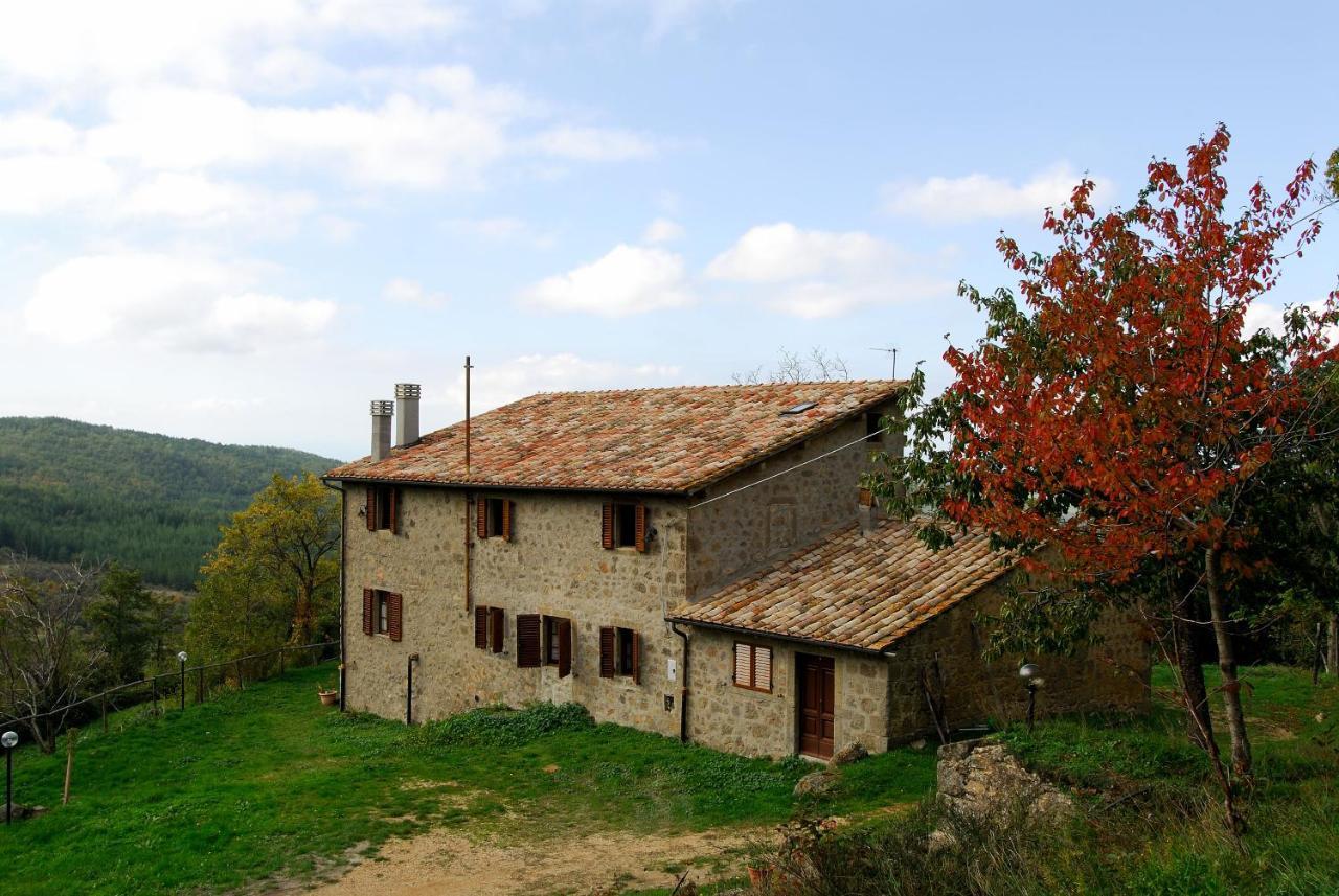 A Stay Surrounded By Greenery - Agriturismo La Piaggia - App 2 Bathrooms Vivo dʼOrcia Exteriér fotografie