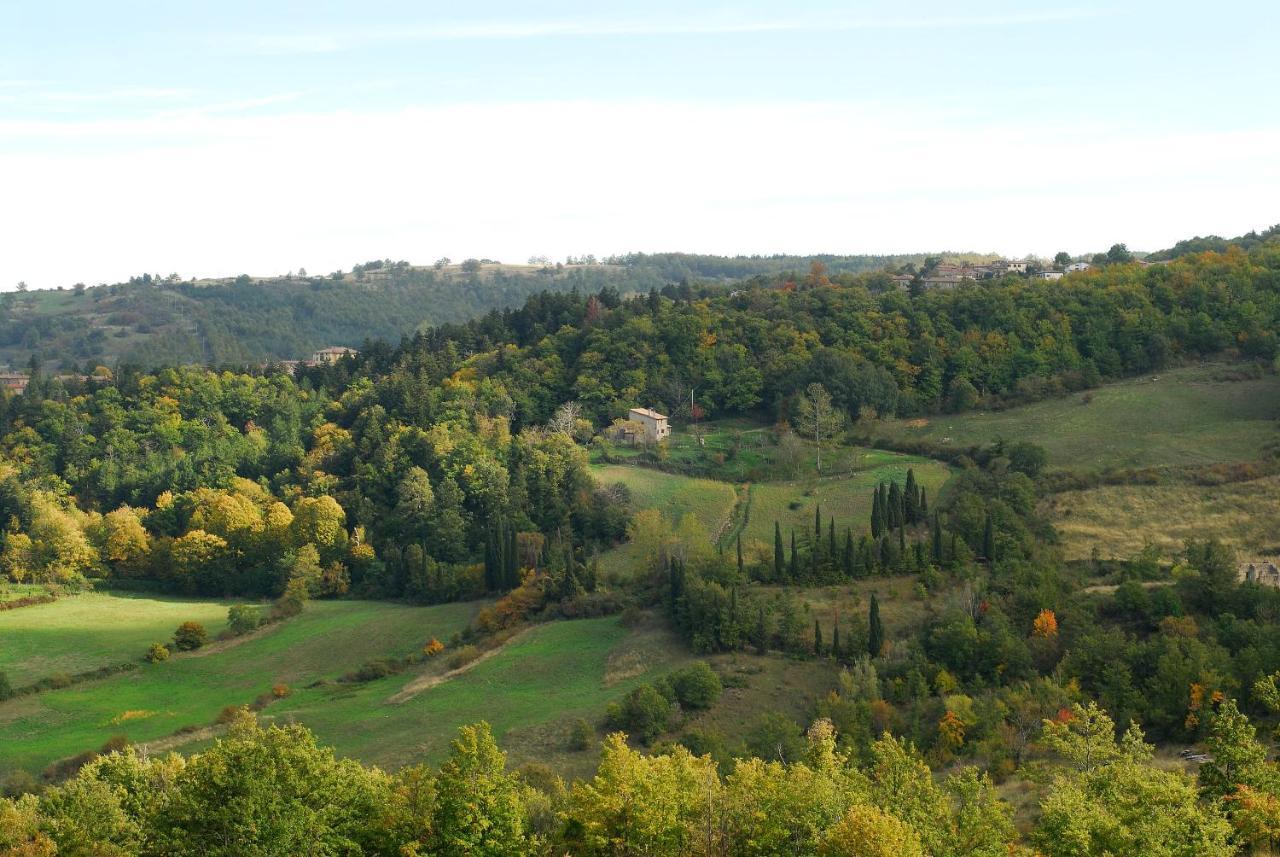 A Stay Surrounded By Greenery - Agriturismo La Piaggia - App 2 Bathrooms Vivo dʼOrcia Exteriér fotografie