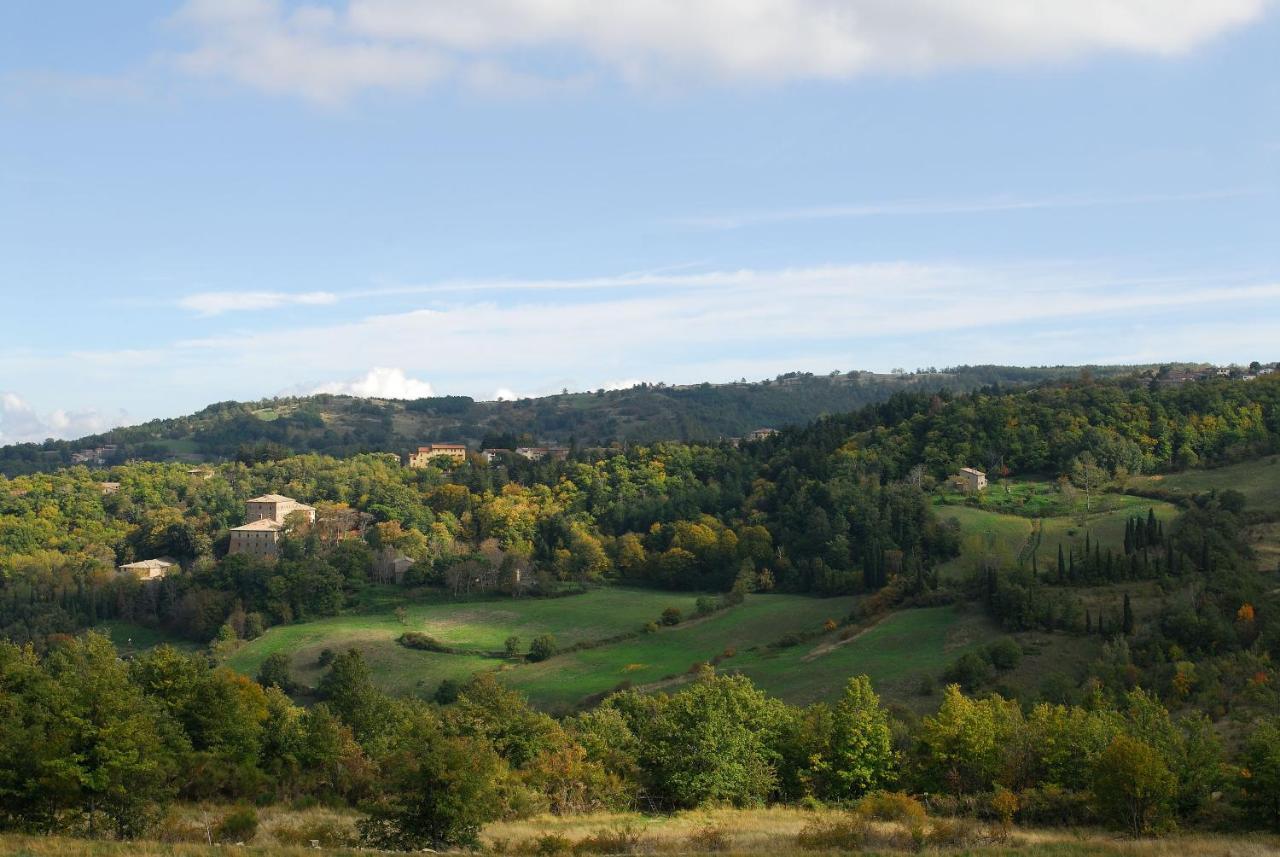 A Stay Surrounded By Greenery - Agriturismo La Piaggia - App 2 Bathrooms Vivo dʼOrcia Exteriér fotografie