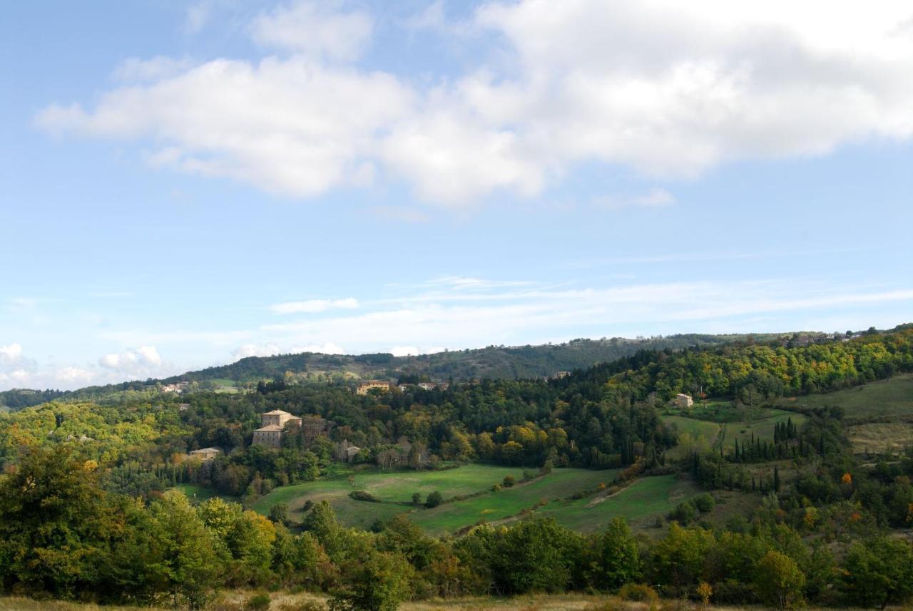 A Stay Surrounded By Greenery - Agriturismo La Piaggia - App 2 Bathrooms Vivo dʼOrcia Exteriér fotografie