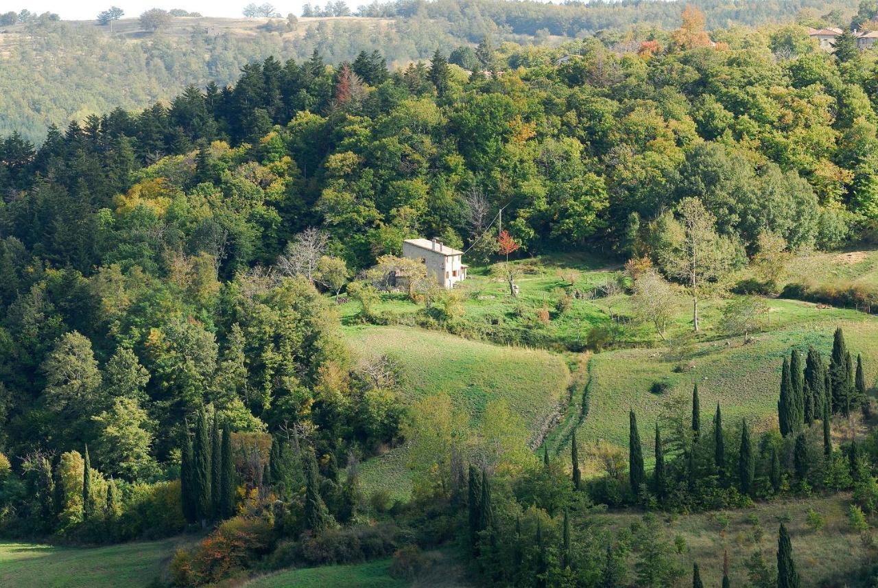 A Stay Surrounded By Greenery - Agriturismo La Piaggia - App 2 Bathrooms Vivo dʼOrcia Exteriér fotografie