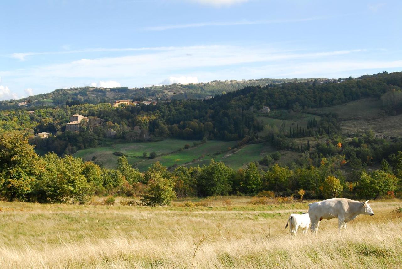 A Stay Surrounded By Greenery - Agriturismo La Piaggia - App 2 Bathrooms Vivo dʼOrcia Exteriér fotografie