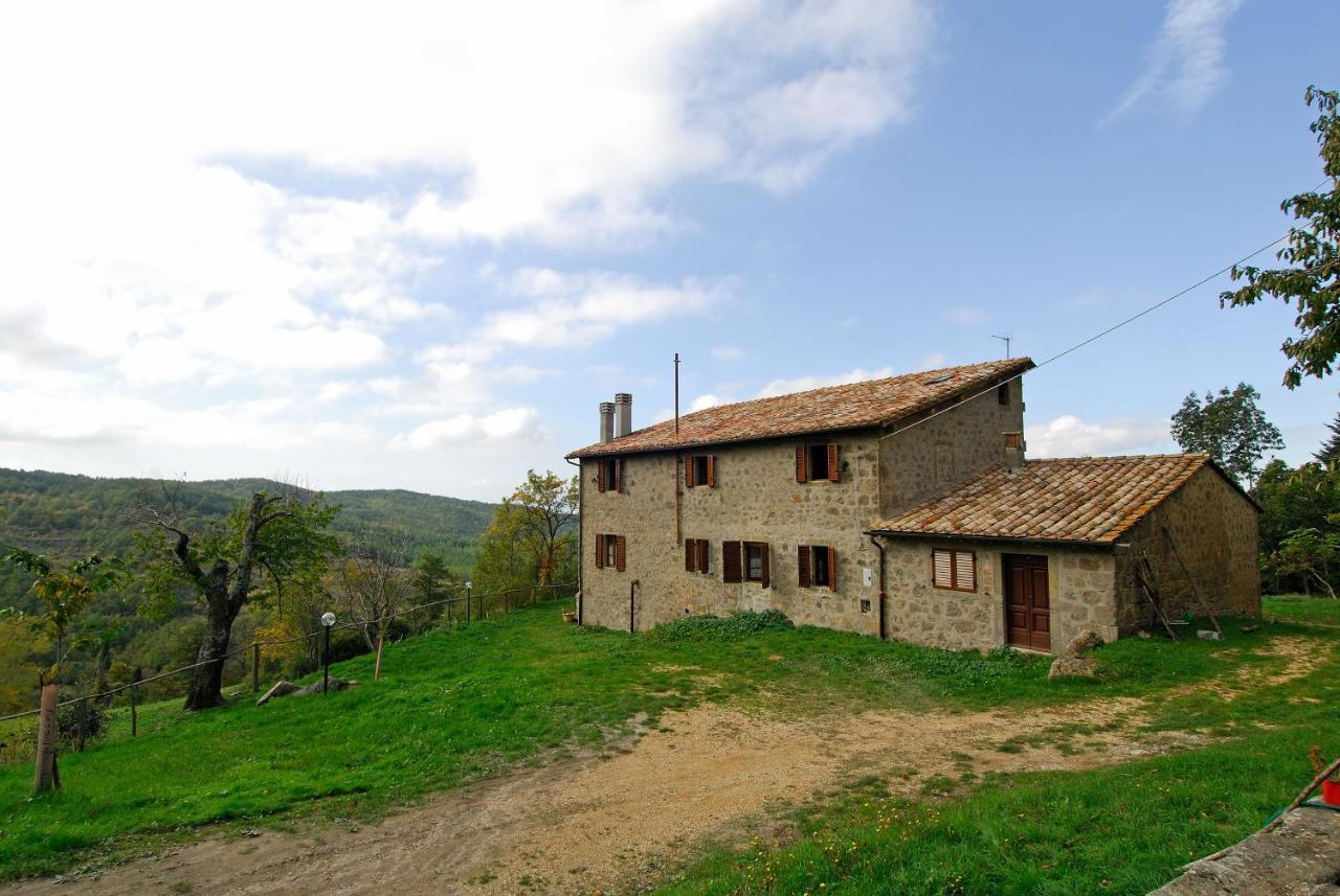 A Stay Surrounded By Greenery - Agriturismo La Piaggia - App 2 Bathrooms Vivo dʼOrcia Exteriér fotografie