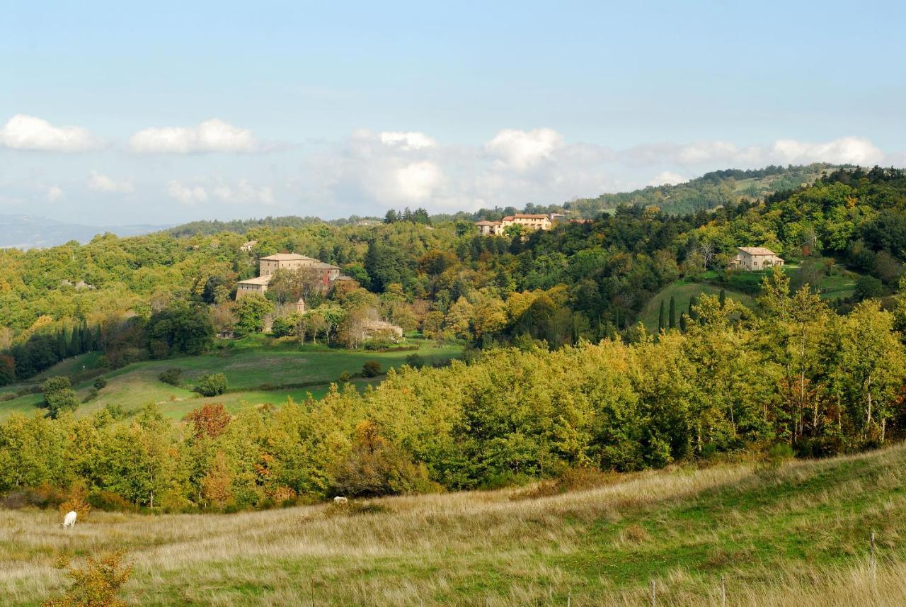 A Stay Surrounded By Greenery - Agriturismo La Piaggia - App 2 Bathrooms Vivo dʼOrcia Exteriér fotografie