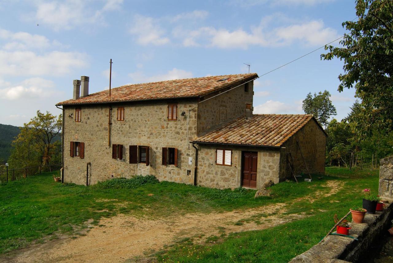 A Stay Surrounded By Greenery - Agriturismo La Piaggia - App 2 Bathrooms Vivo dʼOrcia Exteriér fotografie